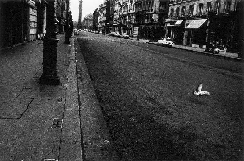 Photo en noir et blanc de Gabriel Cuallado, intitulée Rue de la Paix paloma (Paris)