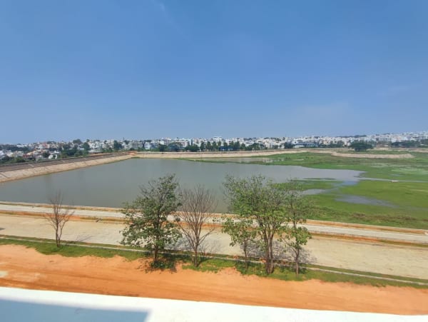 View 4