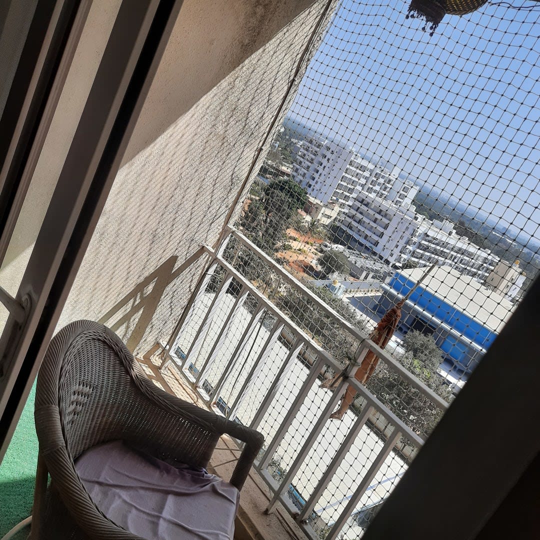 View 3