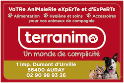Terranimo