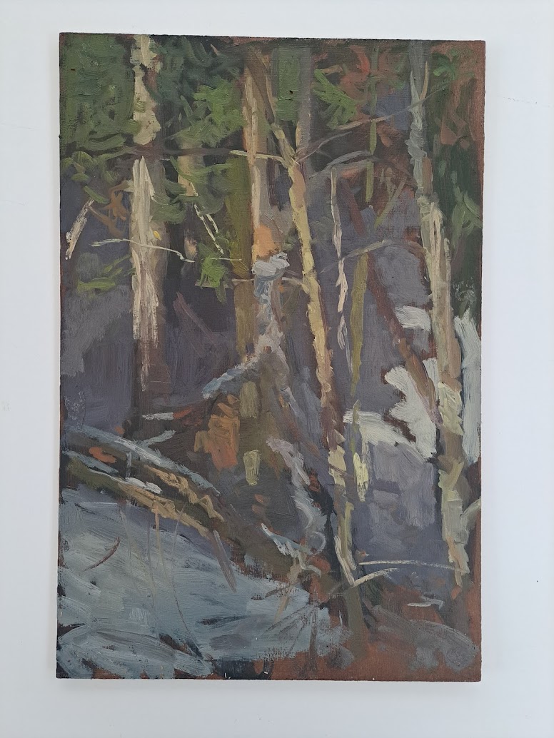 Fallen tree; down the mountain slope