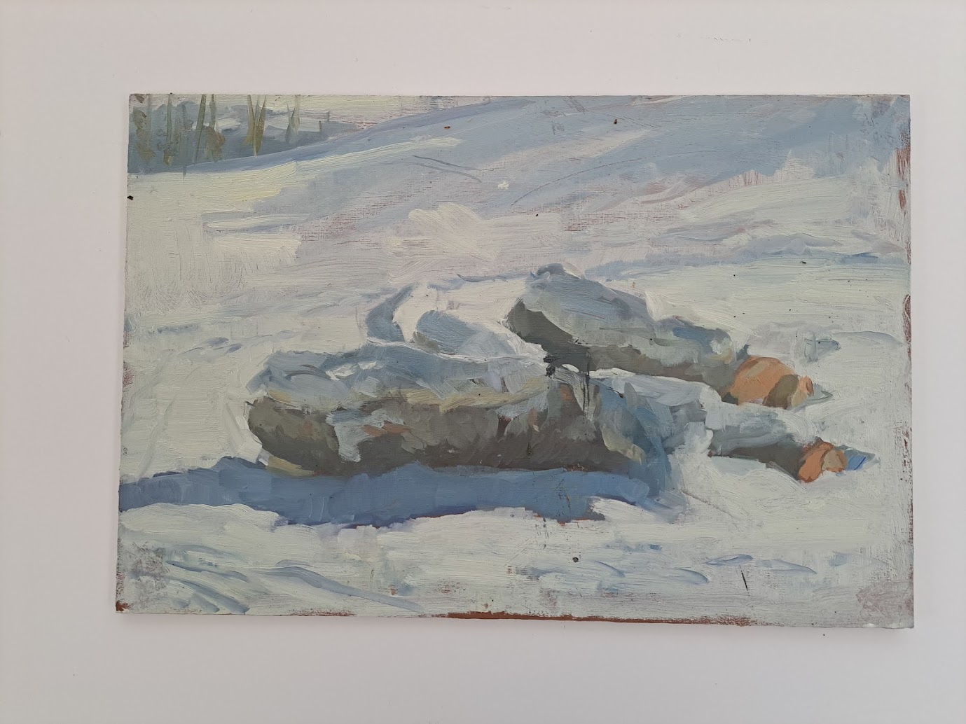 Logs covered in Snow