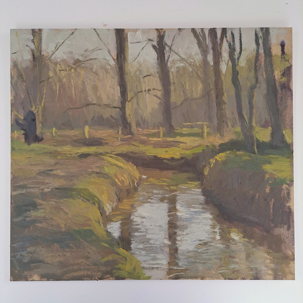 Pasture beyond the Trees