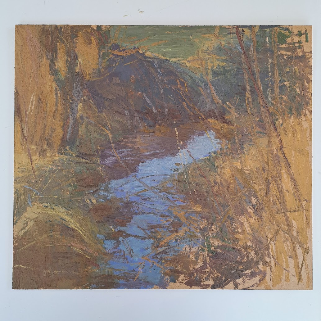 Puddle in the dry Grass