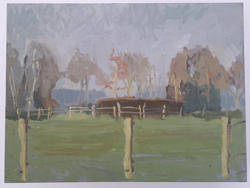 Meadow in Fog