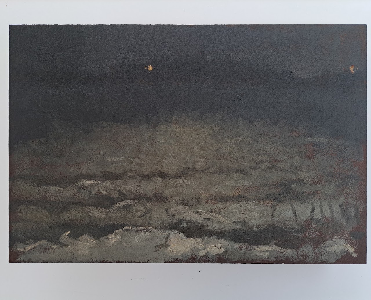 Snow on the fields; nocturne