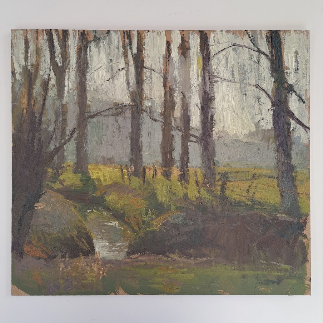 Sunfall behind Trees