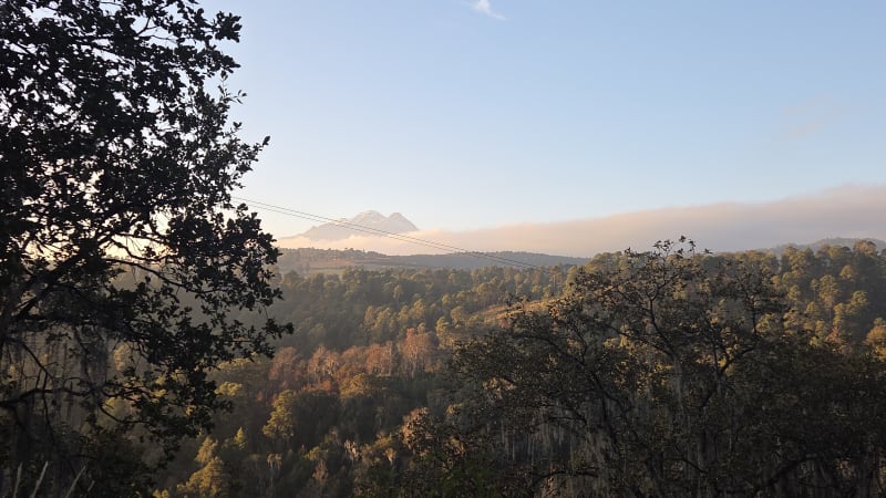 Landscape II