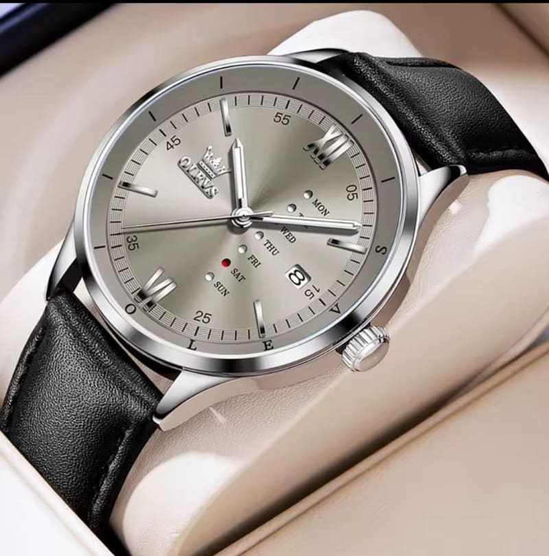 OLEVS 2931 Water Resistant Genuine Leather Mens Watch