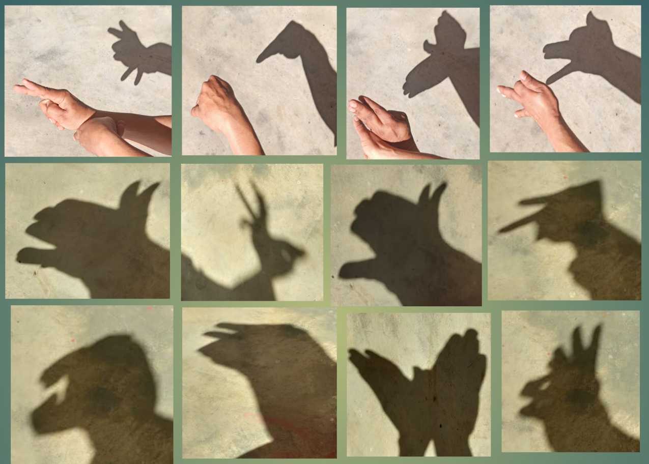 shadow images