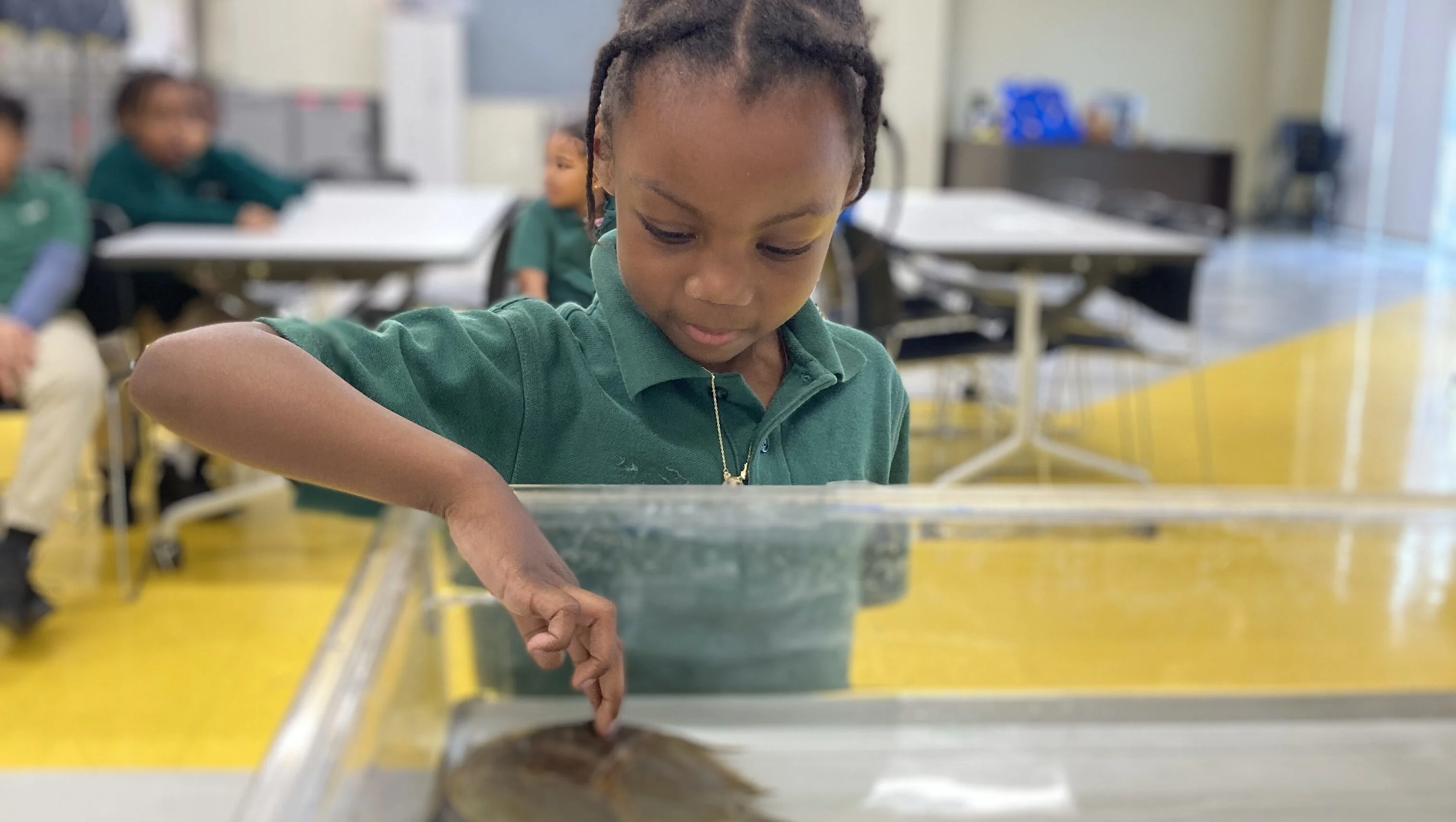 Philadelphia & Camden student explores wildlife in watershed program