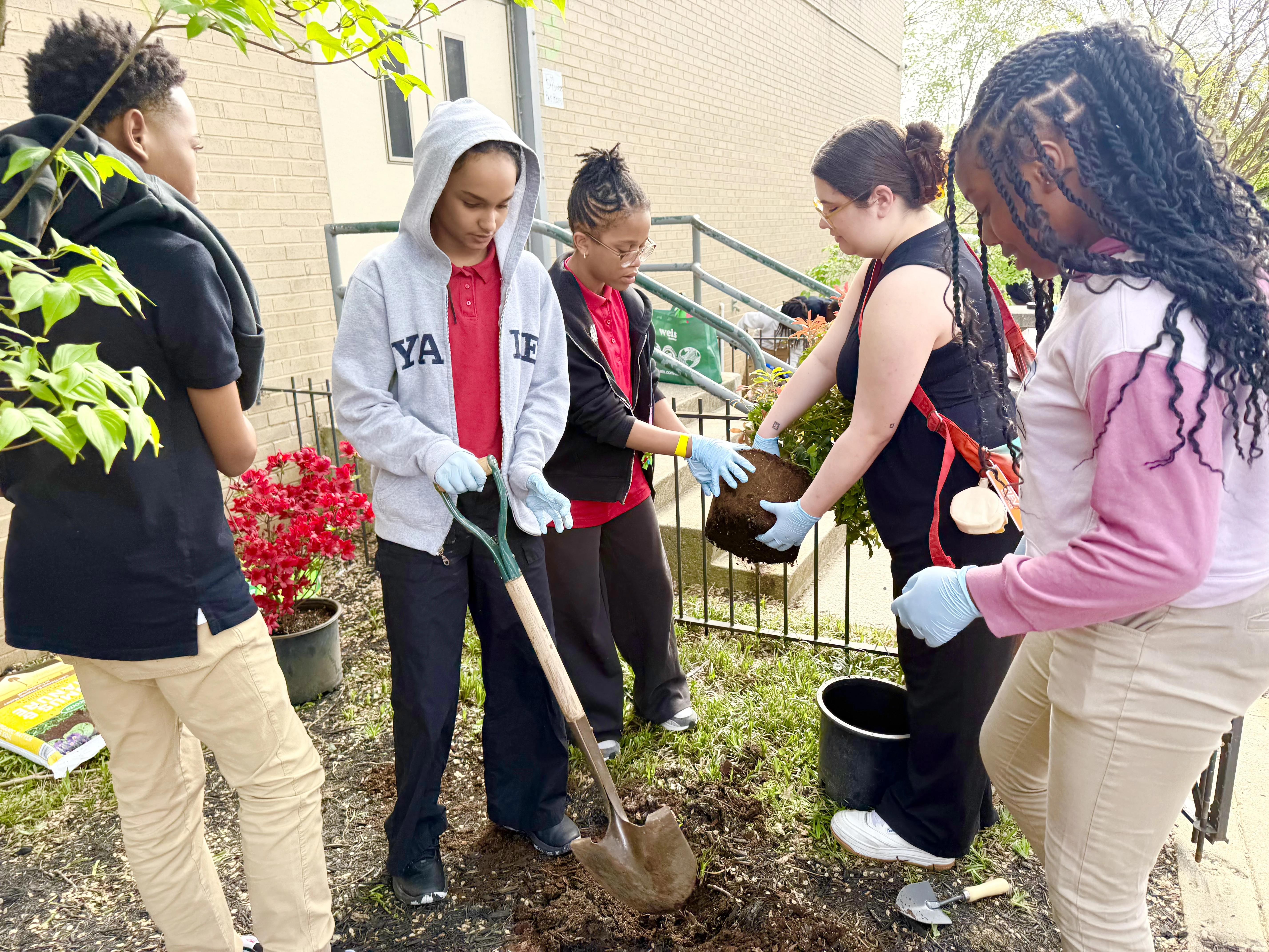 ASAS DC Students gardening