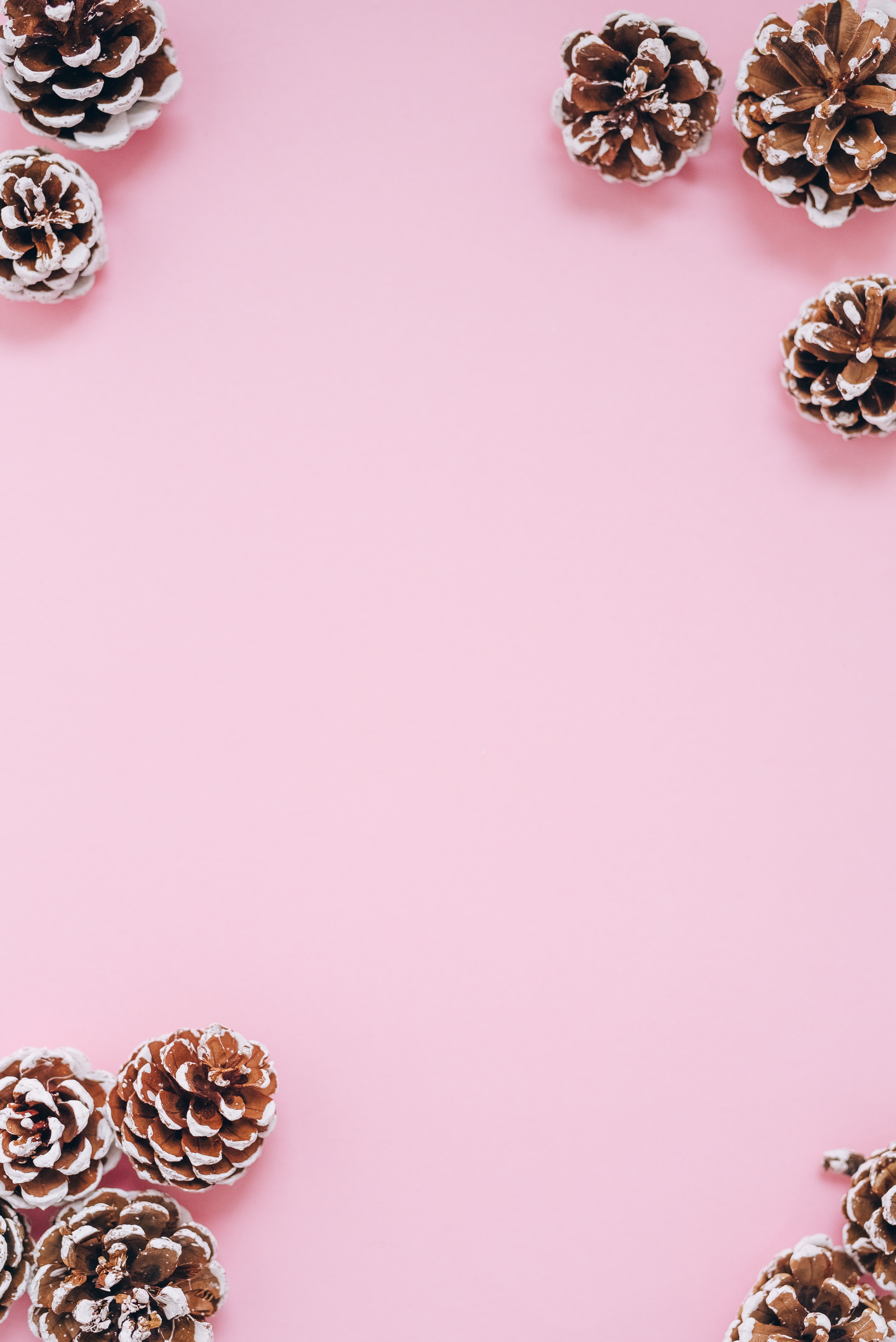 Pink Christmas Backgrounds