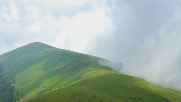Ali Bedni Bugyal photo 2