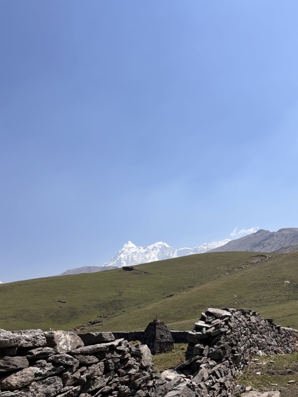 Ali Bedni Bugyal photo 14