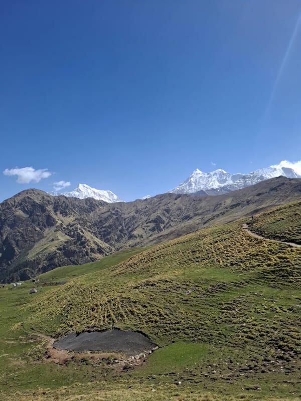 Ali Bedni Bugyal photo 17