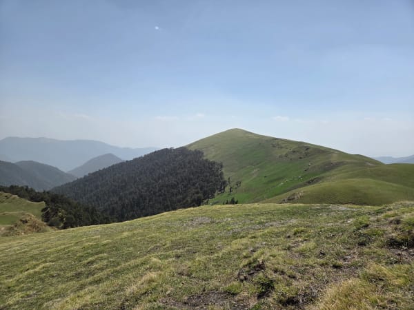Ali Bedni Bugyal photo 18