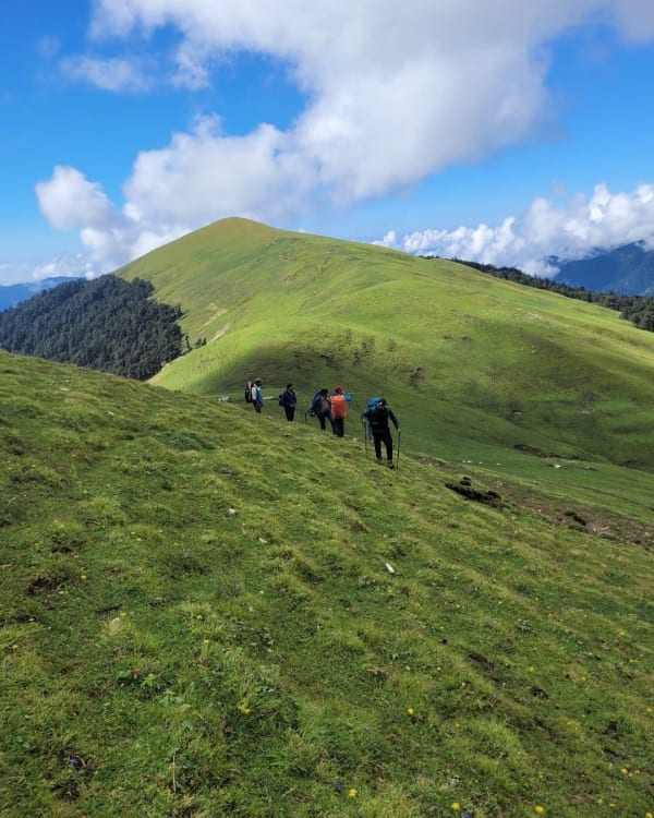 Ali Bedni Bugyal photo 6