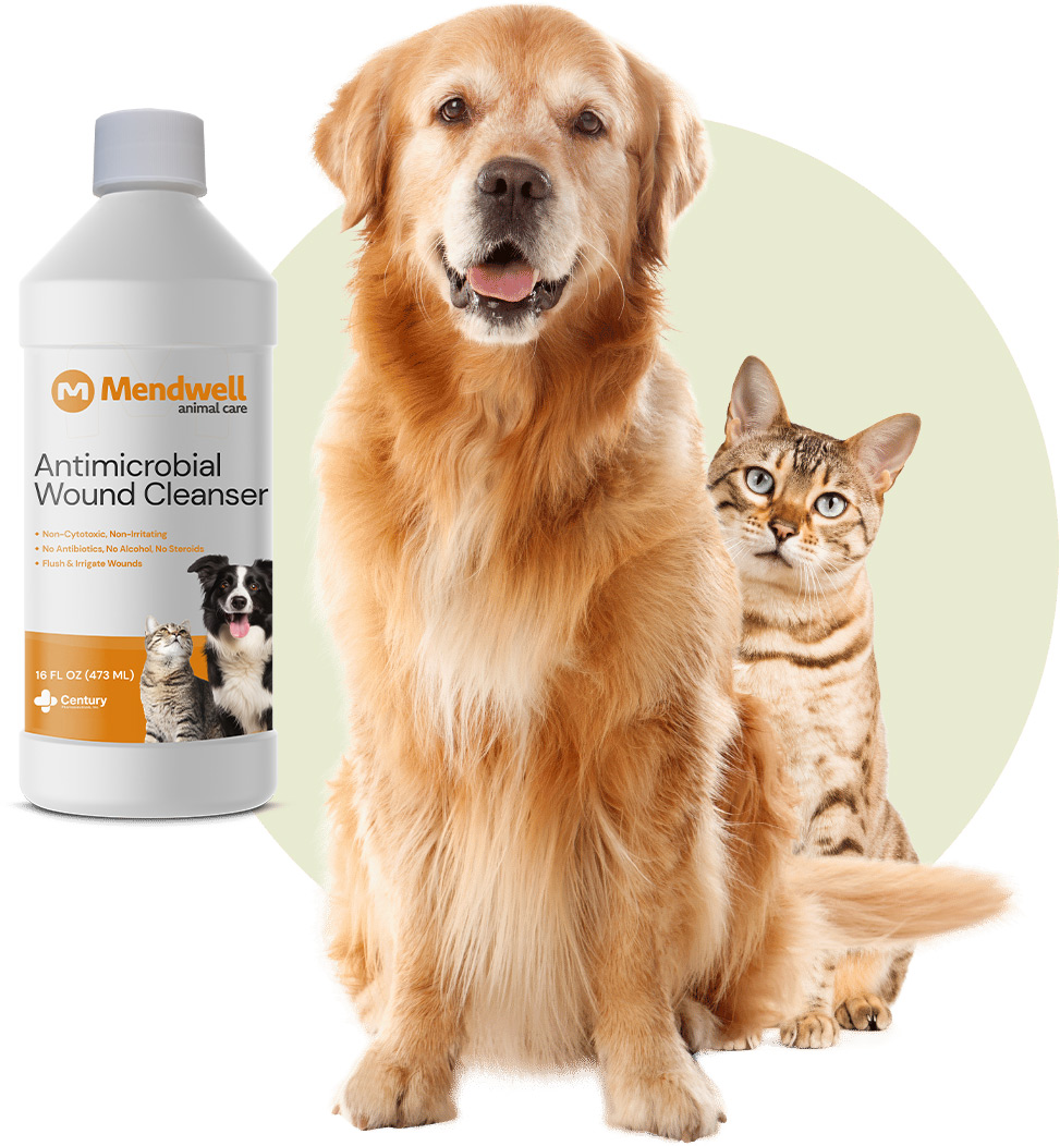 Mendwell Animal Care product bottle mockup
