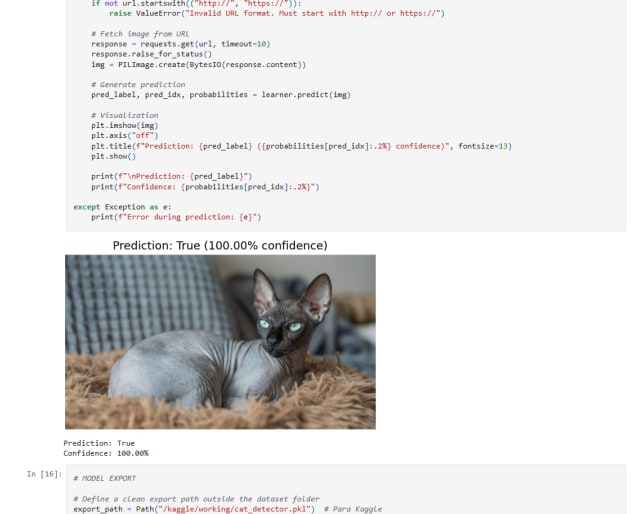 Binary Cat–Dog Classifier
