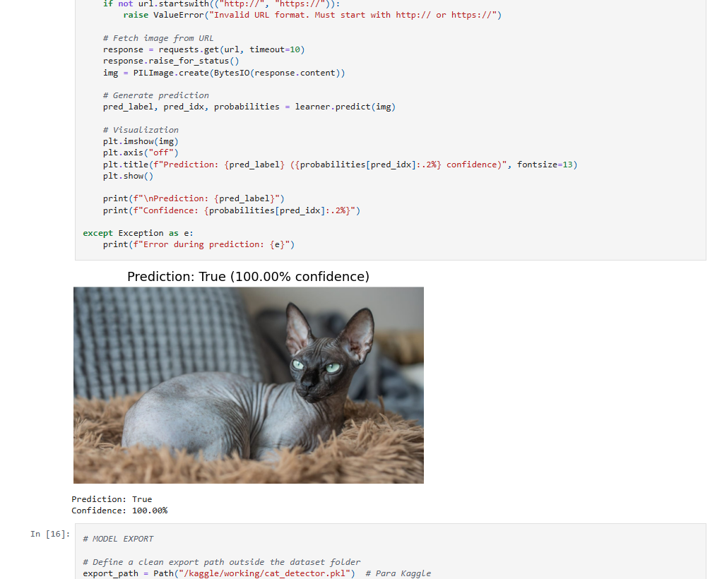 Binary Cat–Dog Classifier