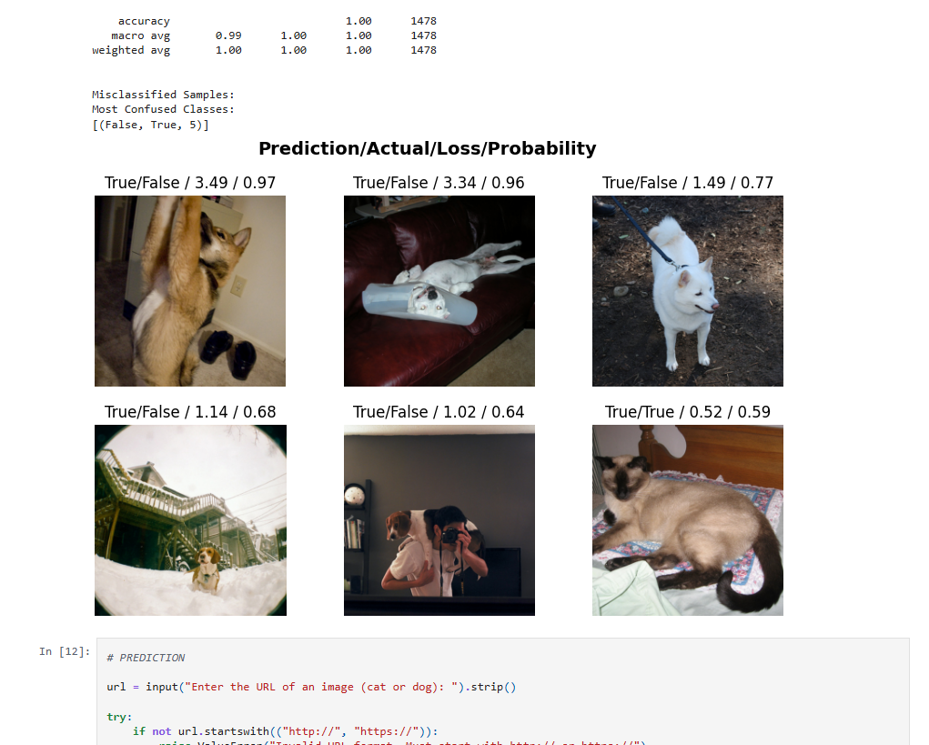 project preview