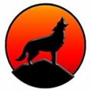 Coyote Analytics