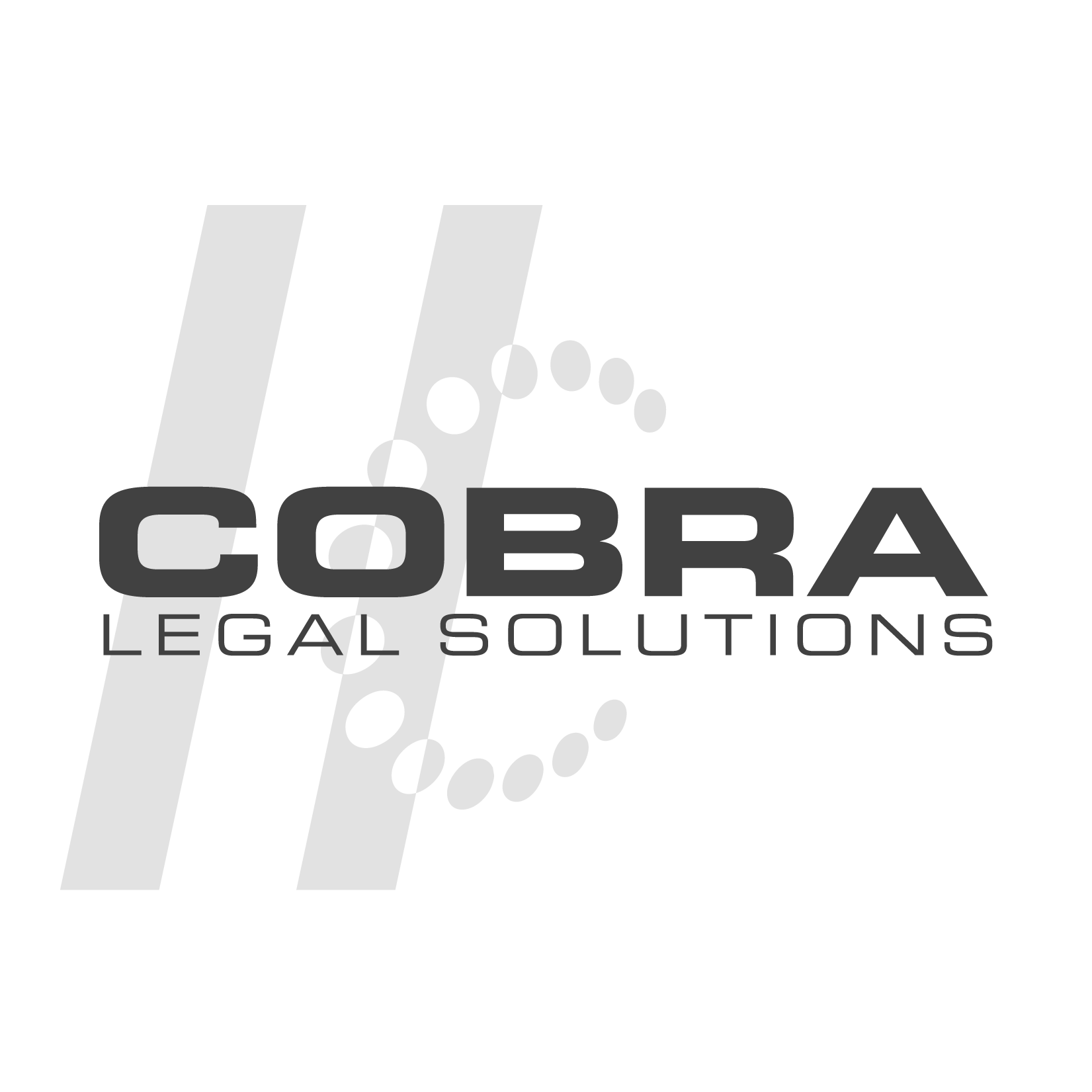 Legal Support Services