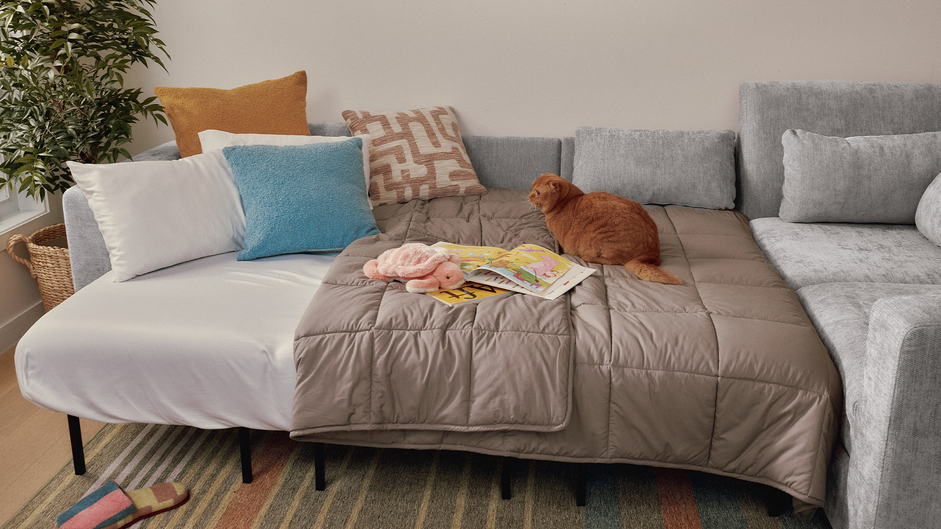 Neptune vs. Orian vs. Atmosphere: Cozey Sofa Beds