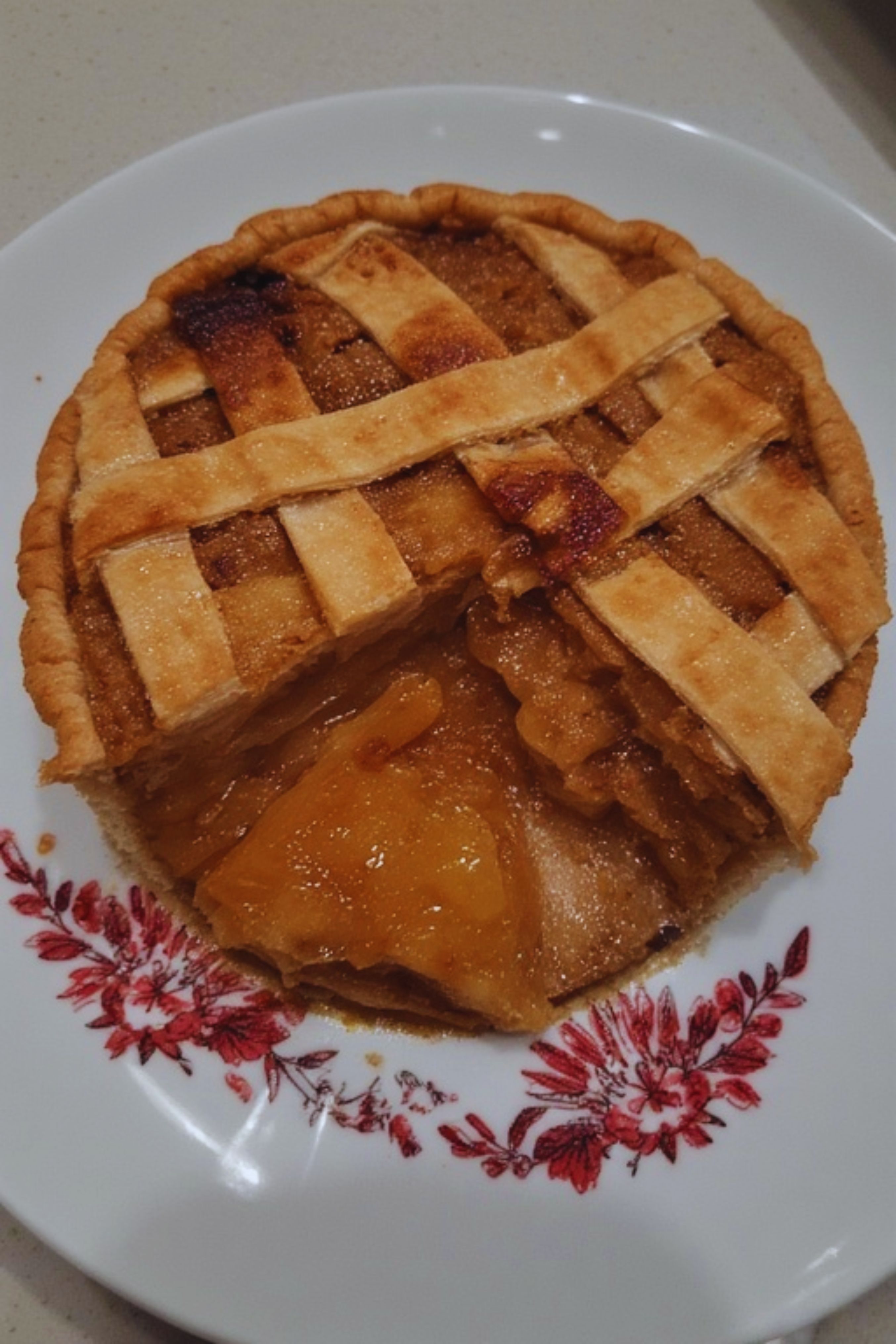 Quandong Pie