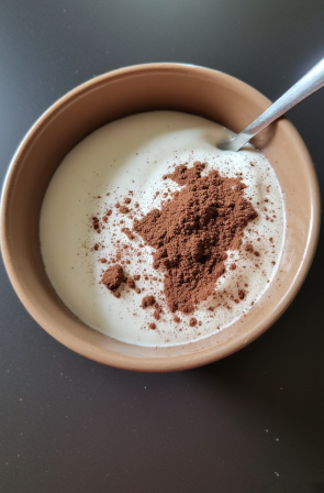 Skyr með kakó (Skyr with Cocoa)