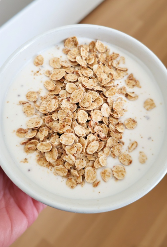 Skyr og hafrar (Skyr and Oats)