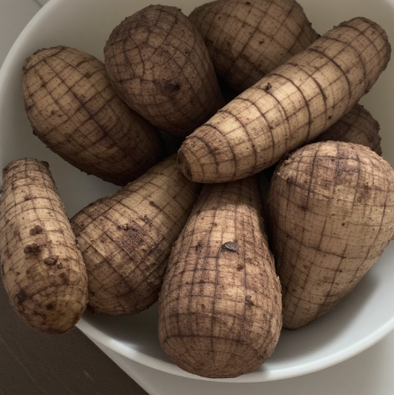 Fermented Cassava Paste Base (DRC/Gabon - for kwanga/miondo)
