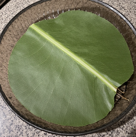 Banana Leaf Steaming Packets (Gabon/CAR - maboké prep)