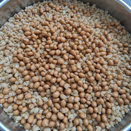 Bygg og lúpínu salat (Barley and Lupine Salad)