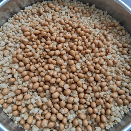 Lúpínu og bygg dessert (Lupine and Barley Dessert)