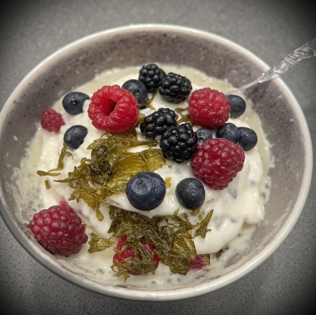 Plöntuskyr og þang dessert (Plant Skyr and Seaweed Dessert)