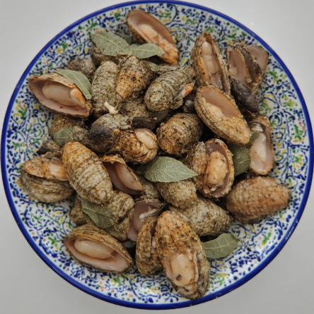 Percebes (Goose Barnacles)