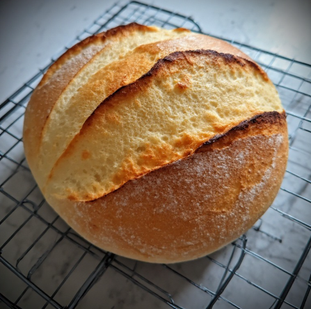 Pão Caseiro Simples (Basic Homemade Bread)