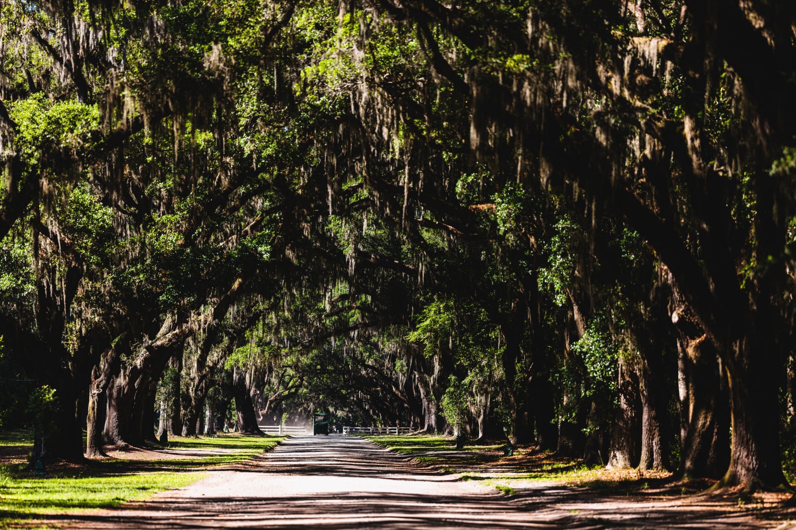 Wormsloe Historic Site, located just outside downtown Savannah, is the former colonial estate of Noble Jones, one of Georgia’s original 1733 settlers. It features Savannah's oldest standing structure—a 1745 fortified tabby house—and is famous for its breathtaking 1.5-mile avenue of over 400 live oak trees