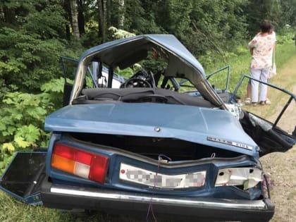Пассажир погиб из-за нерасчетливого маневра водителя «семерки» в Городецком районе