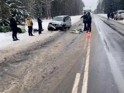 Стало известно, кто устроил смертельное ДТП под Нижним Новгородом