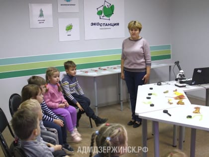 Новые адаптированные программы разработаны в рамках проекта «Город равных возможностей» в Дзержинске