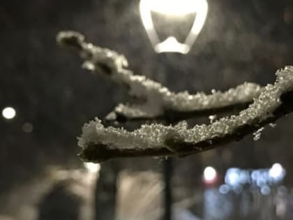 Небольшой снег с морозами до -7 °C обещают нижегородцам 28 января