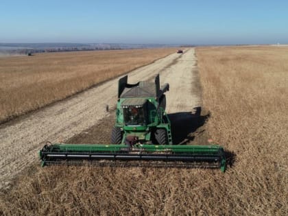 Впервые за 30 лет! Рекорд поставили в Нижегородской области