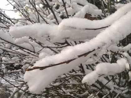 Морозы до -15°С и небольшой снег ожидаются в Нижнем Новгороде 23 февраля