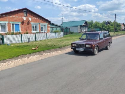 Два подъезда к селу Медяна в Пильнинском округе отремонтировали на месяц раньше установленного срока