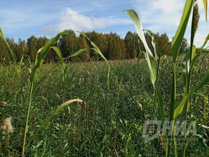 Молодые нижегородцы могут стать участниками проекта  