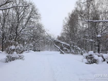 В&nbsp;минздраве Нижегородской области прокомментировали инцидент со&nbsp;скорой помощью в&nbsp;Володарском районе