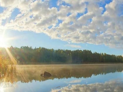 В Нижнем Новгороде и Дзержинске снова превышена норма концентрации формальдегида